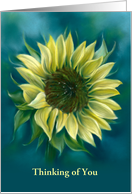 Thinking of You Sunflower Yellow Flower Pastel Art Custom card