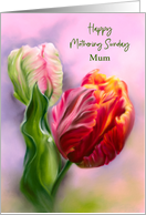 Mothering Sunday Mum Colorful Spring Tulips Flower Personalized card
