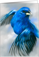 Any Occasion Indigo Bunting Blue Bird Pastel Art Blank card