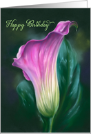 Happy Birthday Pink Calla Lily Pastel Flower Art card