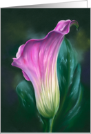 Any Occasion Pink Calla Lily Pastel Flower Art Blank card