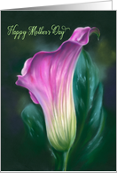 Mothers Day Pink Calla Lily Pastel Flower Art card