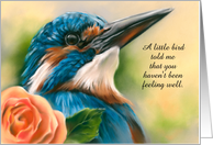 Feel Better Soon Kingfisher Orange Rose Bird Pastel Art Custom card