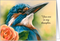 Thinking of You Kingfisher Orange Rose Bird Pastel Art Custom card