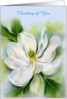 Thinking of You Sweet Bay Magnolia White Flower Pastel Art Custom card