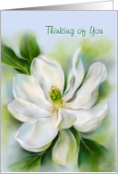 Thinking of You Sweet Bay Magnolia White Flower Pastel Art Custom card