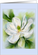 Any Occasion Sweet Bay Magnolia White Flower Art Blank card