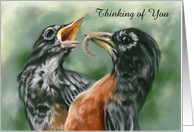 Thinking of You Robin Feeding Chick Pastel Bird Art Custom card