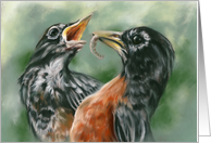 Any Occasion Robin Feeding Chick Pastel Bird Art Blank card