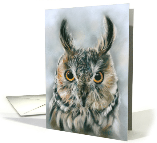Any Occasion Long Eared Owl Bird Portrait Pastel Art Blank card