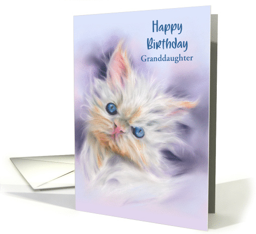 Birthday Granddaughter Cute Persian Kitten with Blue Eyes Custom card