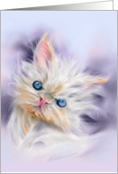 Any Occasion Cute Persian Kitten with Blue Eyes Pet Art Blank card
