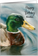 Birthday Brother Mallard Duck on Water Bird Art Custom Relative card