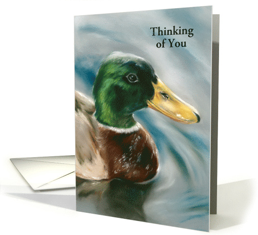 Thinking of You Mallard Duck on Water Pastel Bird Art Custom card