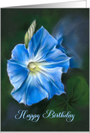 Happy Birthday Blue Morning Glory Pastel Flower Art card