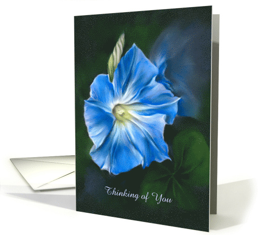 Thinking of You Blue Morning Glory Pastel Flower Art Custom card