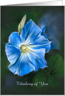 Thinking of You Blue Morning Glory Pastel Flower Art Custom card