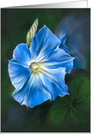 Any Occasion Blue Morning Glory Pastel Flower Art Blank card