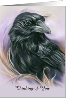 Thinking of You Crow Autumn Corn Black Bird Pastel Art Custom card
