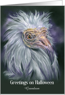 Halloween Greetings Grandson White Vulture Spooky Bird Art Custom card