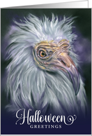 Halloween Greetings White Vulture Spooky Bird Art
