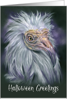 Halloween Greetings White Vulture Spooky Bird Art card