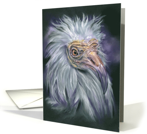 Any Occasion White Egyptian Vulture Pastel Bird of Prey Art Blank card