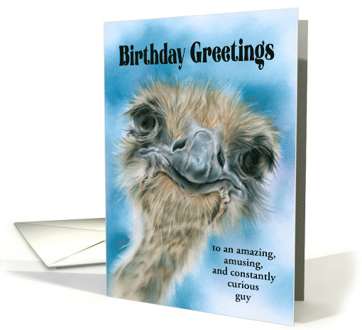 Birthday for Him Ostrich Curious Bird Art Custom card (1738262)