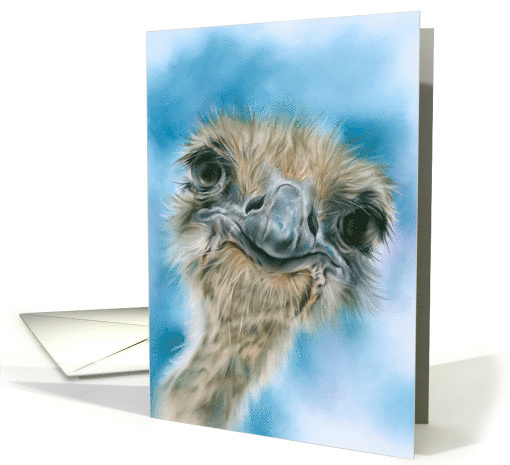 Any Occasion Ostrich Curious Bird Art Blank card (1738272)