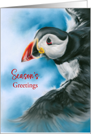 Seasons Greetings Puffin in Flight Pastel Bird Art card