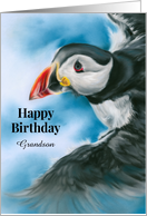 Birthday Grandson Atlantic Puffin in Flight Bird Art Custom card