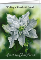 Christmas Friend White Poinsettia Pastel Flower Personalized card