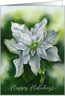 Happy Holidays White Poinsettia Pastel Flower Art card