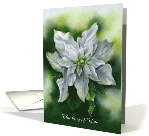 Thinking of You White Poinsettia Pastel Flower Art Personalized card