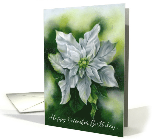 December Birthday White Poinsettia Pastel Flower Art card (1740106)