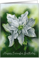 December Birthday White Poinsettia Pastel Flower Art card