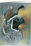 Any Occasion Quail with Autumn Corn Pastel Art Blank card