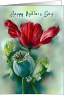 Happy Mothers Day Poppy and Seed Pod Floral Art card
