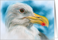 Any Occasion Seagull and Sky Bird Pastel Art Blank card