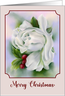 Merry Christmas White Rose Flower Winter Holly Seasonal Art card
