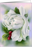 Any Occasion White Rose Flower Winter Holly Pastel Art Blank card