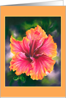 Any Occasion Hibiscus Colorful Tropical Flower Blank card