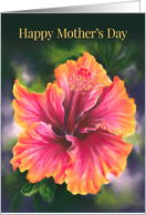 Happy Mothers Day Hibiscus Colorful Tropical Flower card