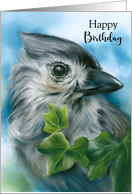 Happy Birthday Small Gray Bird Tufted Titmouse Pastel Art card