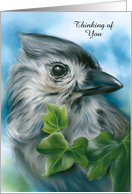 Thinking of You Small Gray Bird Tufted Titmouse Art Custom card