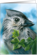 Any Occasion Small Gray Bird Tufted Titmouse Pastel Art Blank card