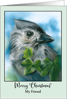 Merry Christmas Friend Small Gray Bird Tufted Titmouse Art Custom card