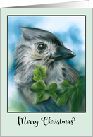 Merry Christmas Small Gray Bird Tufted Titmouse Pastel Art card