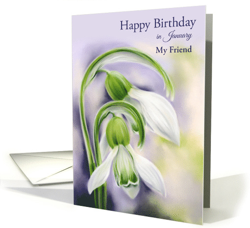 January Birthday Friend White and Green Snowdrops Spring... (1746786)