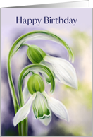 Happy Birthday White and Green Snowdrops Spring Flowers card